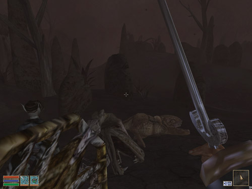 Screenshot - Morrowind