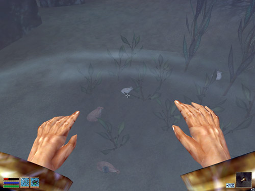 Screenshot - Morrowind